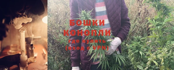 спиды Арсеньев