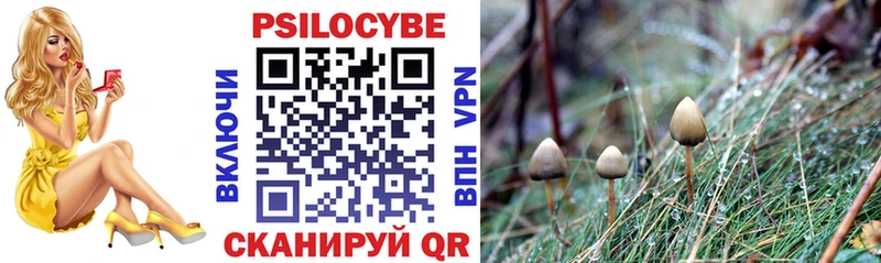 купить наркотик  Багратионовск  Галлюциногенные грибы Magic Shrooms 